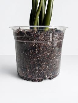slider-extra-image